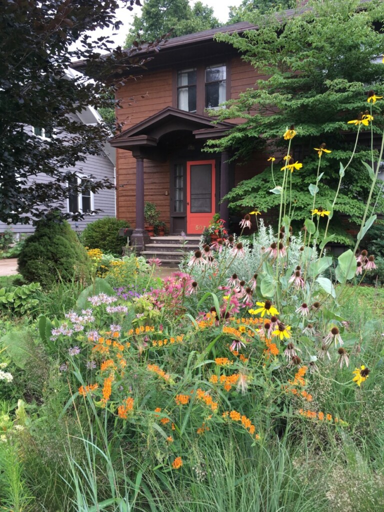 native plant garden design